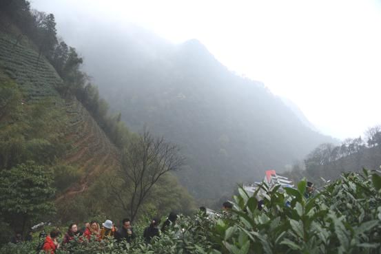 1470729493102024.jpg 探尋生長(zhǎng)之源2.jpg