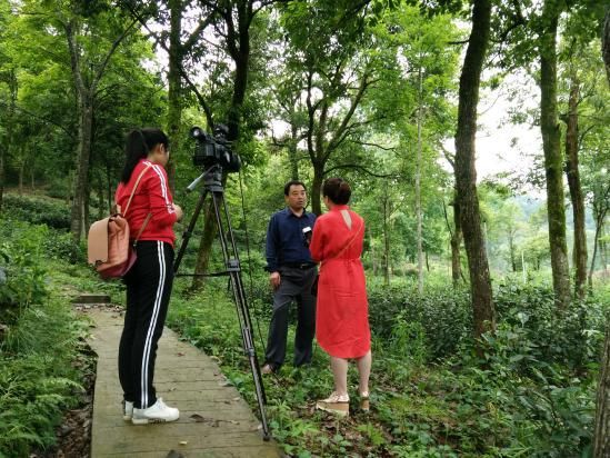 省“政協(xié)江淮行”赴黃山六百里猴魁茶業(yè).jpg 省“政協(xié)江淮行”赴黃山六百里猴魁茶業(yè).jpg