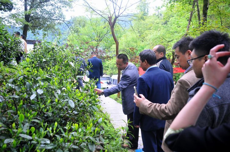 非遺文化節(jié)暨開園儀式圓滿啟動.jpg 非遺文化節(jié)暨開園儀式圓滿啟動.jpg