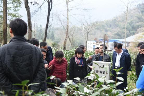 首個高山茶葉物聯(lián)網(wǎng)應(yīng)用系統(tǒng)在黃山誕生jpg 首個高山茶葉物聯(lián)網(wǎng)應(yīng)用系統(tǒng)在黃山誕生jpg