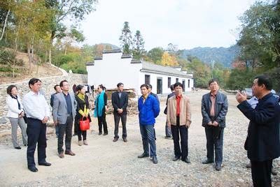 六百里猴魁茶葉基地建設促.jpg 六百里猴魁茶葉基地建設促.jpg