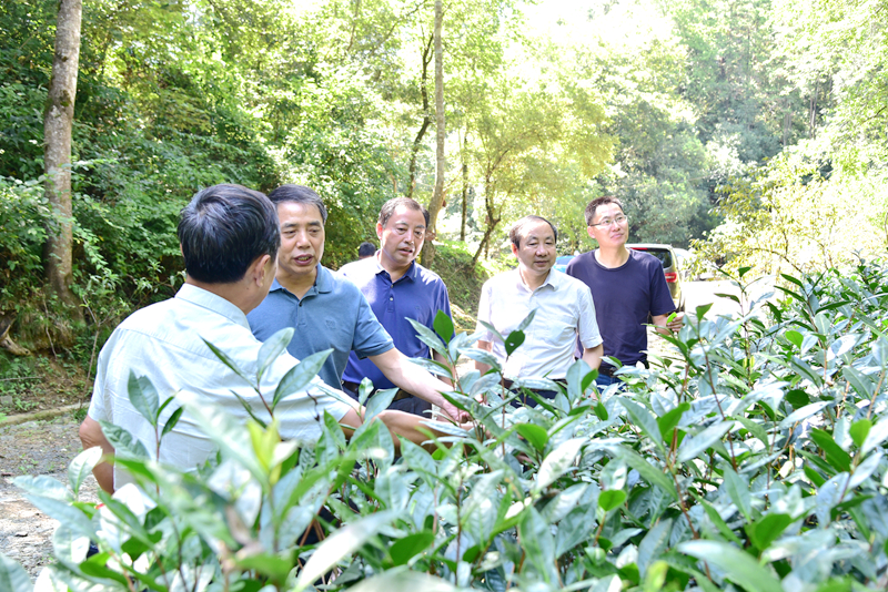 1596587494685409.jpg DSC_7694_副本.jpg