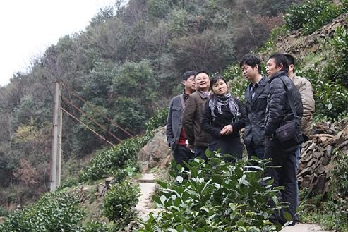 省行和市行領(lǐng)導(dǎo)參觀猴魁生產(chǎn)基地.jpg 省行和市行領(lǐng)導(dǎo)參觀猴魁生產(chǎn)基地.jpg