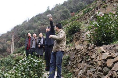 向領(lǐng)導(dǎo)介紹六百里猴魁生產(chǎn)基地.jpg 向領(lǐng)導(dǎo)介紹六百里猴魁生產(chǎn)基地.jpg